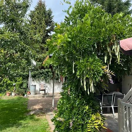 Wiedemann We 1 Apartament Mellenthin