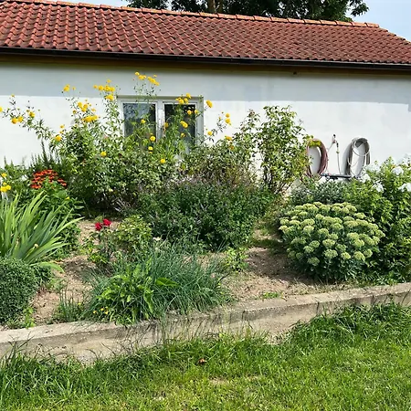 Wiedemann We 1