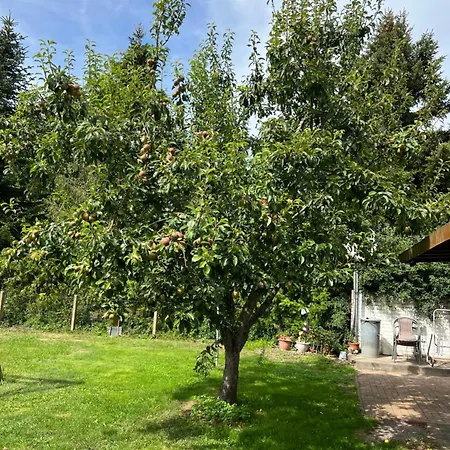 Wiedemann We 1 Apartament *